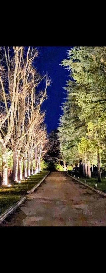 La Casa Nel Parco Luxury B&B San Lazzaro di Savena Eksteriør bilde